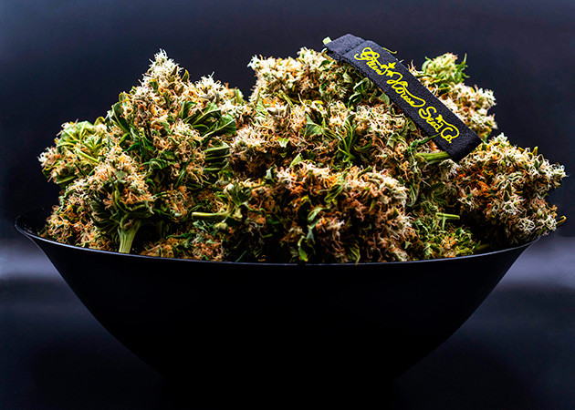 Сухой урожай конопли