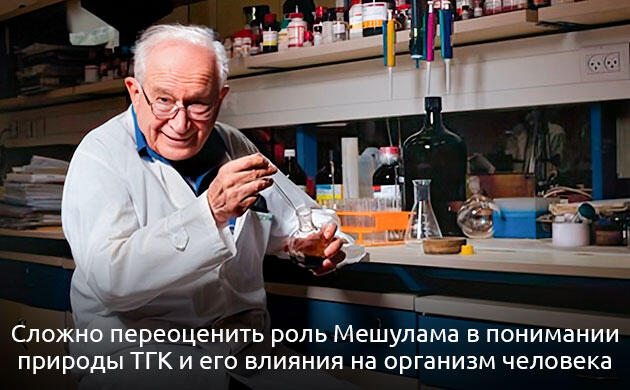 Научный прорыв в изучении ТГК Рафаэль Мешулам и открытие ТГК в каннабисе
