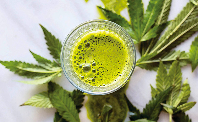 Сок из листьев конопли
