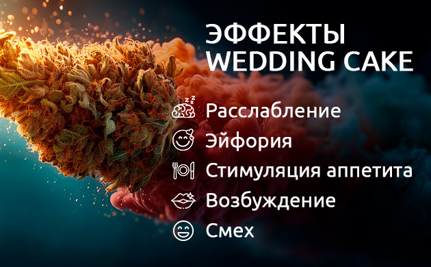 Эйфория и аппетит: как действует Wedding Cake Эффекты и потенциал Wedding Cake