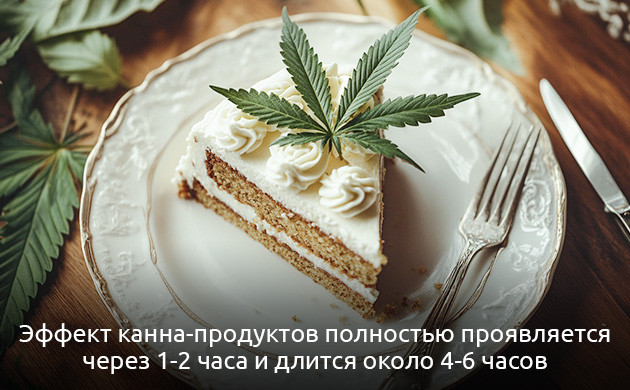 Как долго канна-продукты усваиваются организмом Эффект канна-продуктов проявляется через 2 часа