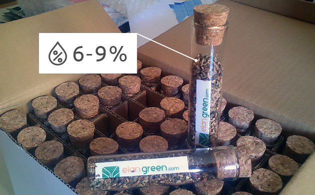 Влажность среды при хранении семян