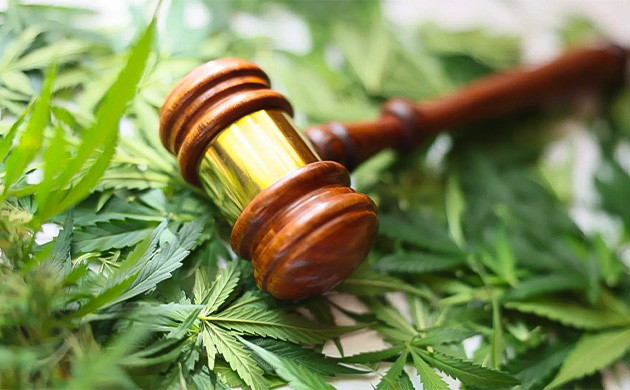 Закон Франции о марихуане