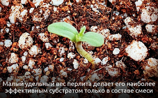 Зернистый перлит для гидропонной системы