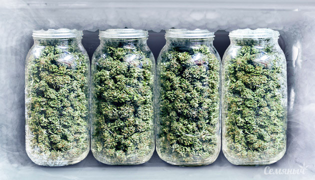 Хранение готового урожая Сухой урожай в банках в морозилке