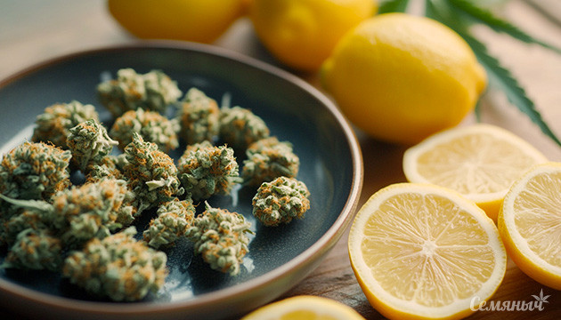 Терпен лимонен и его свойства