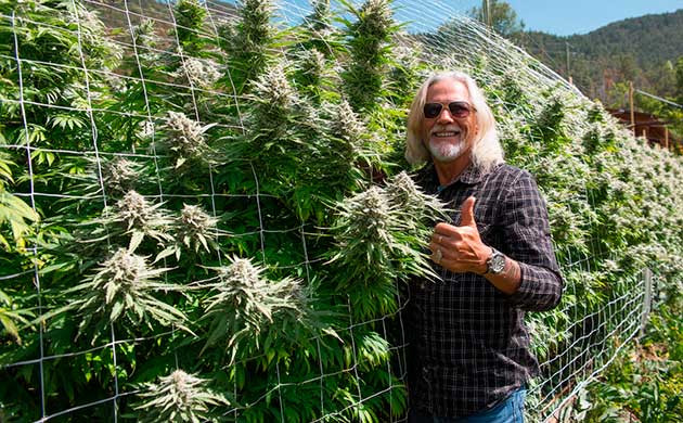 Простые советы для успешного аутдор-грова от Хорхе