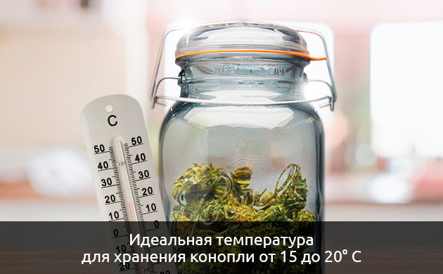 Идеальная температура для хранения