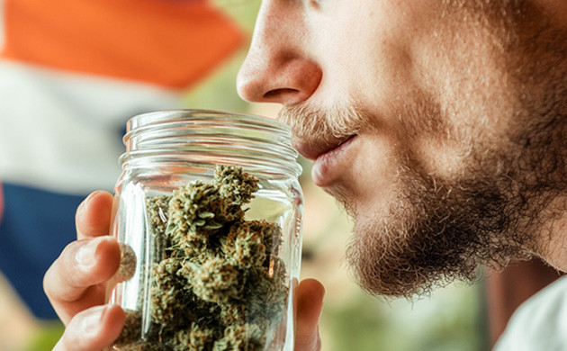 Tangie: как появился культовый цитрусовый сорт