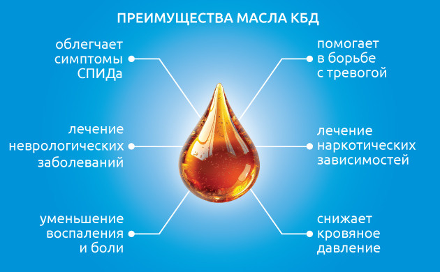 КБД в онкологии: перспективы исследований КБД-масло в борьбе с раком