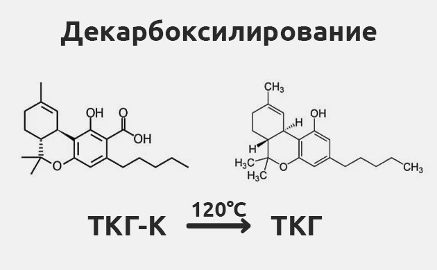 Преобразование ТГК-К в ТГК при сушке Декарбоксилирование: ключевой этап приготовления каннабиса