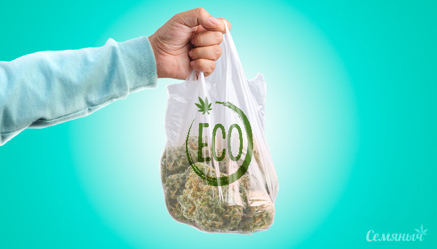 Конопля может быть заменой полиэтилена Новые исследования о заменителе пластика из конопли