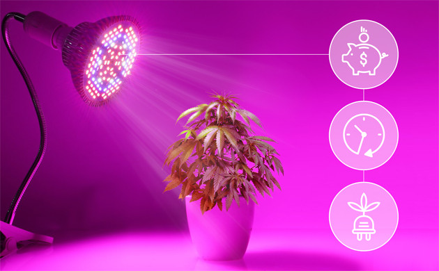 Преимущества LED перед другими лампами Преимущества LED ламп