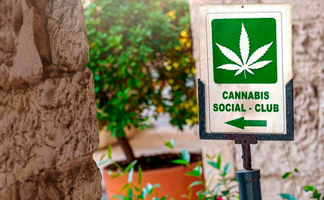 Социальные каннабис-клубы в Германии