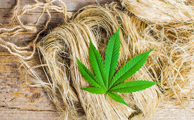 Конопляное волокно