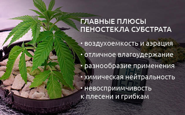 Преимущества и недостатки пеностекла как субстрата для марихуаны