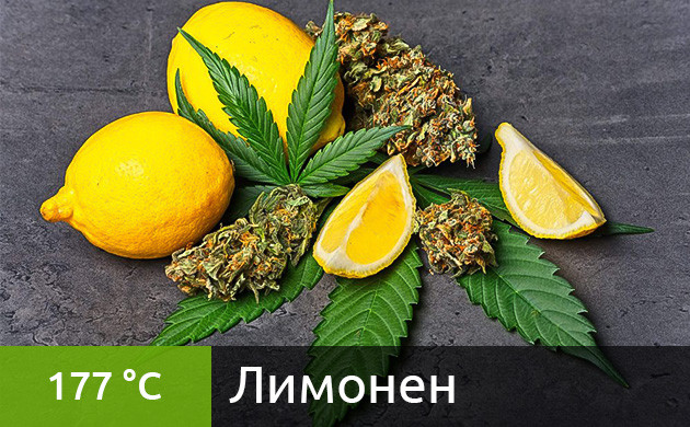 Оптимальная температура для вейпинга лимонена (177 °C) Рекомендуемая температура нагрева для лимонена в вейпе (177 °C)
