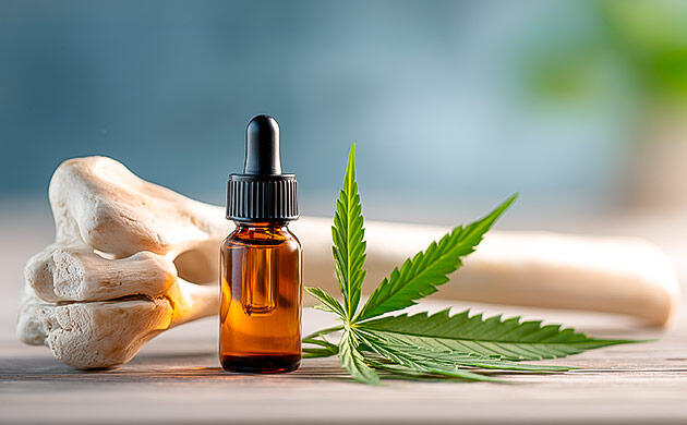 Каннабидиол для укрепления костной ткани