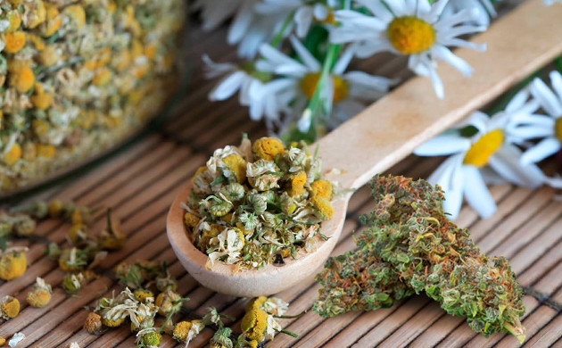 Сочетание ароматных трав Травы ромашки