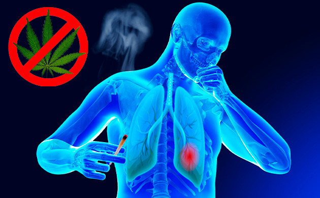 Вред конопли при заболевании верхних и нижних дыхательных путей Противопоказание марихуаны при болезных легких