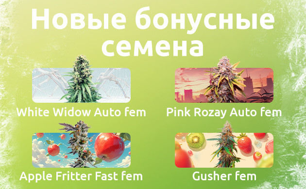 Обновленная линейка бонусов