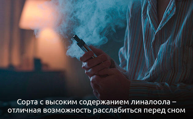 Линалоол в каннабисе: цветочный аромат и седативное действие