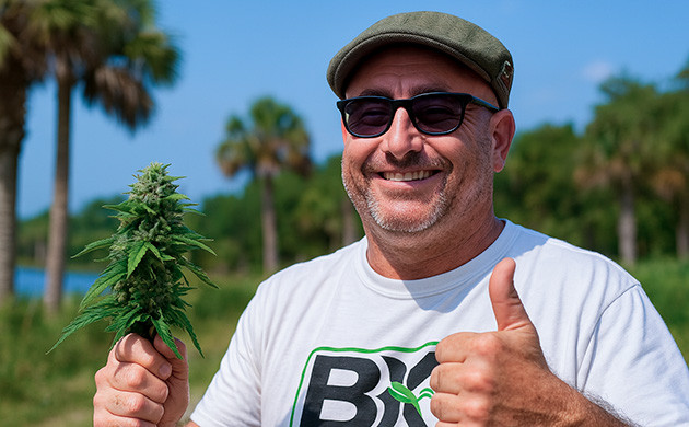 История Bubba Kush