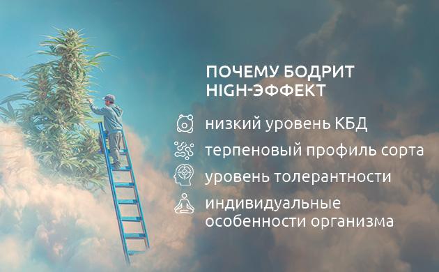 Как работает эффект high