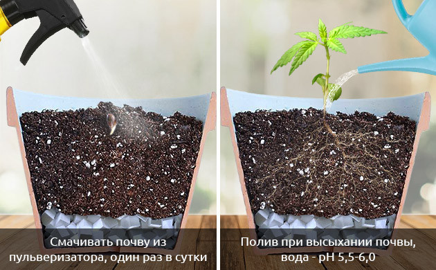 Инструкция по поливу