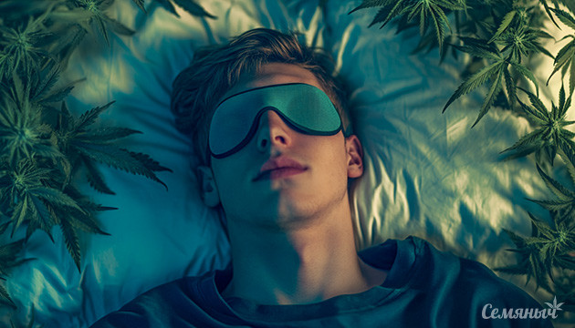 Гормон сна и конопля Мелатонин и каннабис