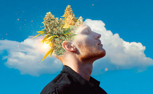 Как марихуана влияет на работу мозга Влияние ТГК на нейронные связи головного мозга