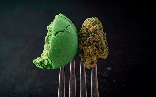 Излишки ТГК: что происходит, когда вы перебарщиваете