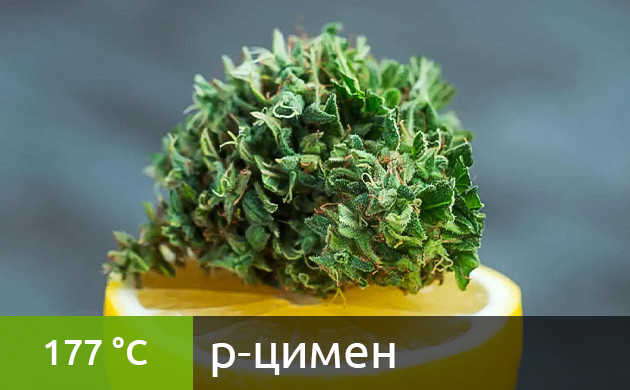 Рекомендуемая температура нагрева для p-цимена в вейпе (177 °C) Оптимальная температура для вейпинга p-цимена (177 °C)