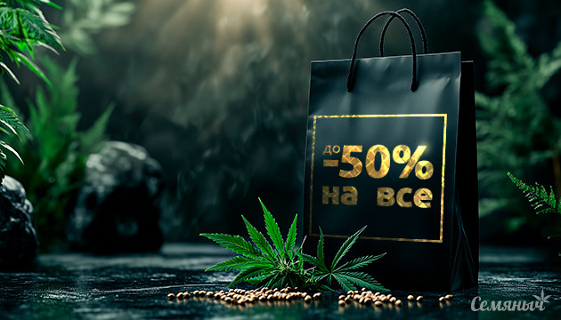 Черная пятница на Семяныче