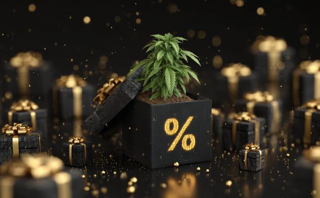 Акции, бонусы и скидки