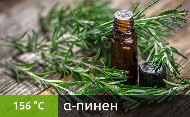 Оптимальная температура для вейпинга α-пинена (156 °C) Рекомендуемая температура нагрева для α-пинена в вейпе (156 °C)