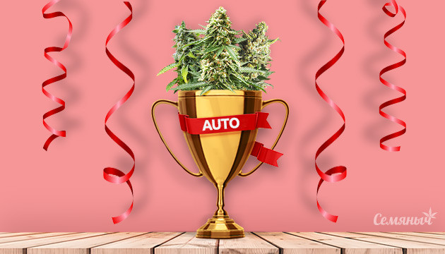 Лучшие автоцветы 2019 года