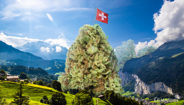 В аптеках Швейцарии начнут продавать каннабис В Швейцарии начнут легально продавать каннабис