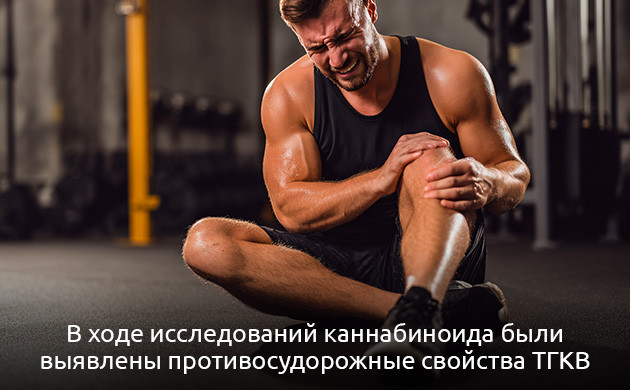 ТГКВ: психоактивные и терапевтические свойства каннабиноида Тетрагидроканнабиварин (ТГКВ) и его эффекты на организм