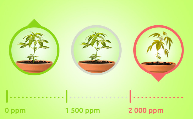 Переизбыток CO₂ при 2000 ppm