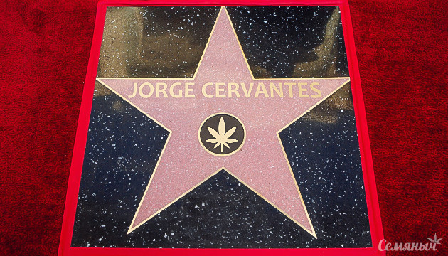 Легенда канна-мира Хорхе Сервантес Звезда «Аллеи славы» Хорхе Сервантеса
