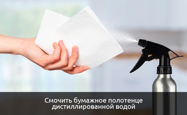 Смочить бумажное полотенце дистиллированной водой Бумажное полотенце