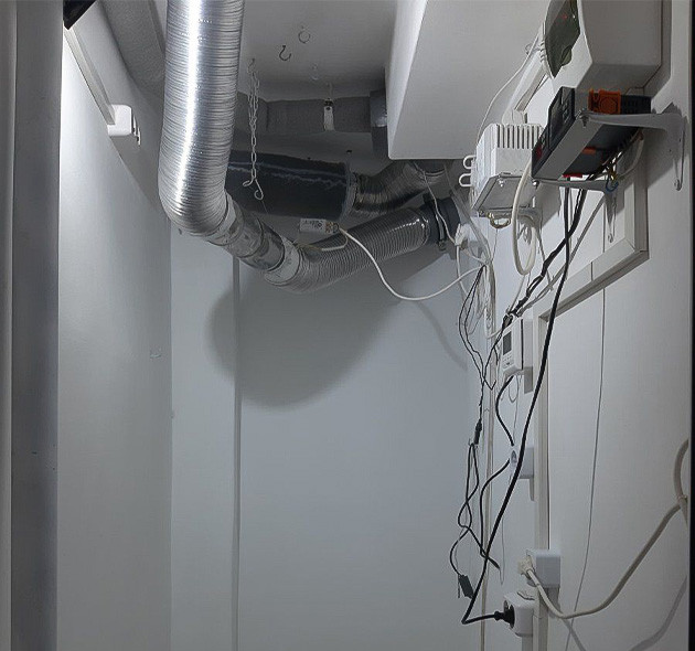 Вегетативный период сорта Blackberry Moonrocks