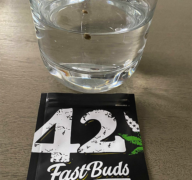 Проращивание семян конопли в стакане с дистиллированной водой Проращивание семян конопли