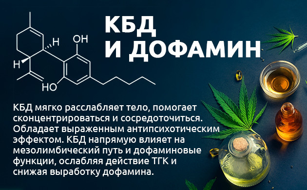 КБД и дофамин Влияние КБД на уровень дофамина