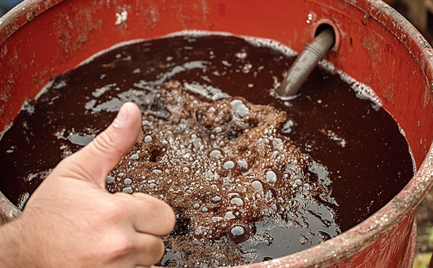 Причины использовать натуральные удобрения для конопли Альтернативные удобрения