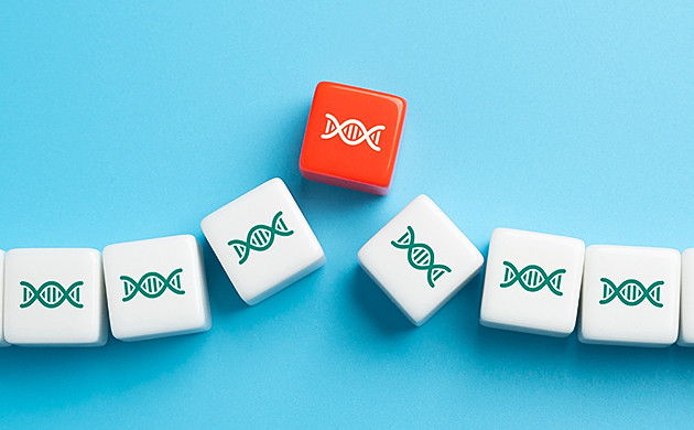 Генетическая мутация