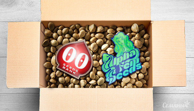 Новые сорта на Семяныче