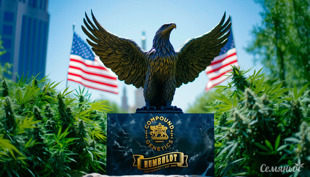 Новые линейки американских сортов