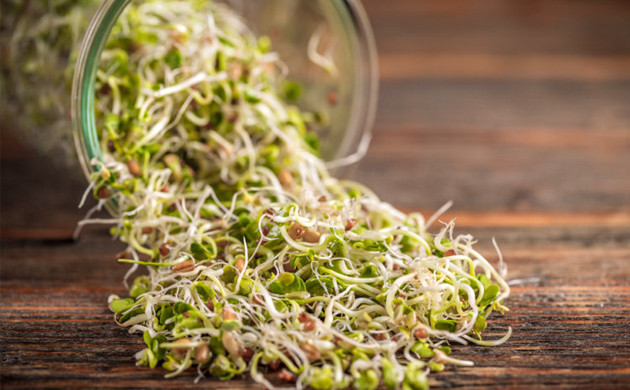 Применение пророщенных семян Пророщенные семена